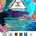III Międzynarodowy Plener Plastyczny Trzebnica 2014