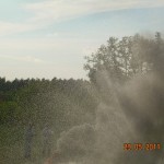dzien-dziecka-czeszow-62