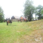 odpust 2011