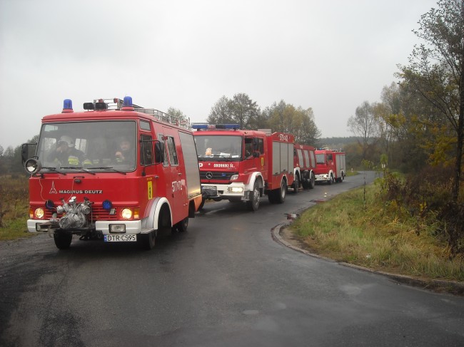 Zdjęcia 624