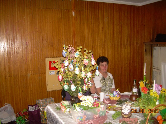 DSCN6029