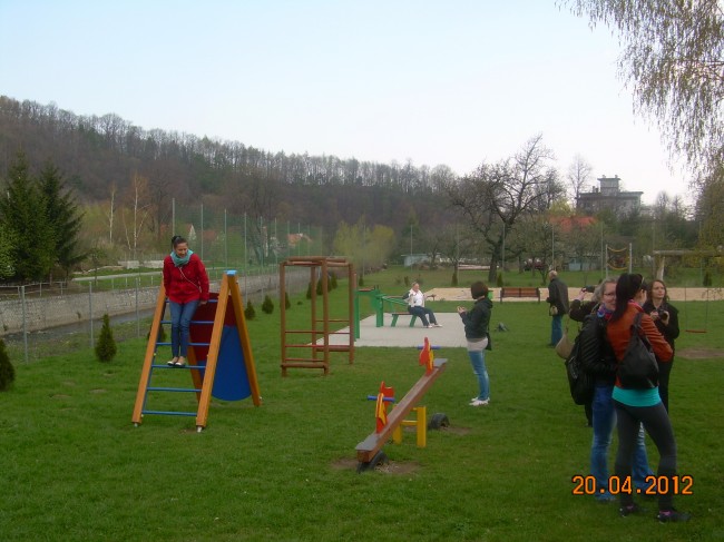 DSCN6080