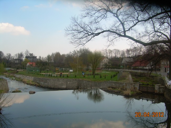 DSCN6098