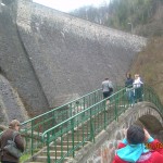 DSCN6147