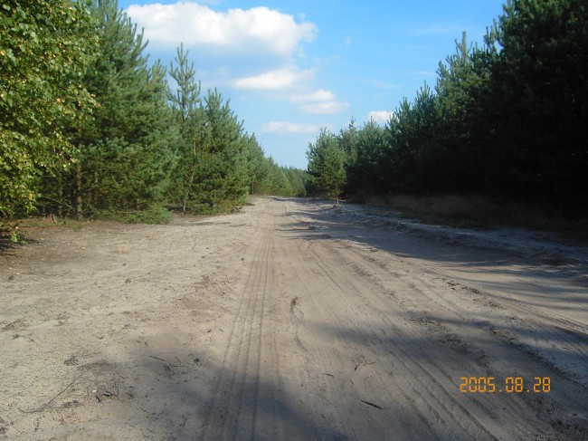 droga maleszów