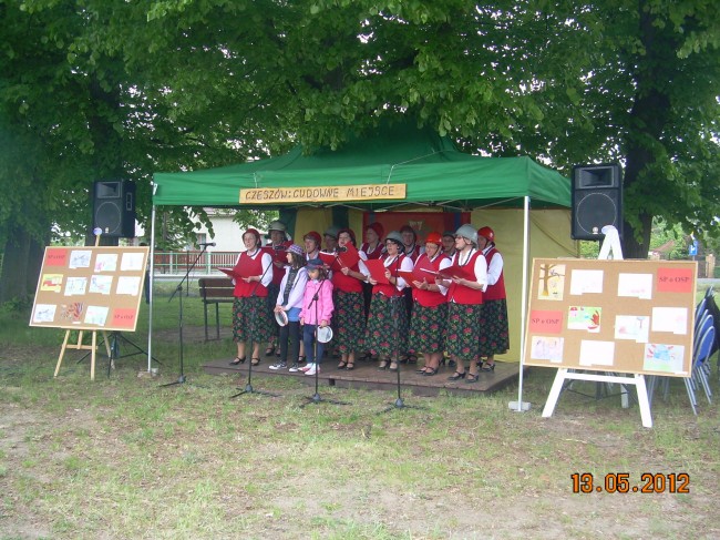 DSCN6354