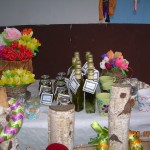 DSCN6719