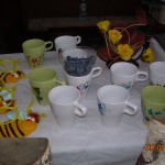 DSCN6721