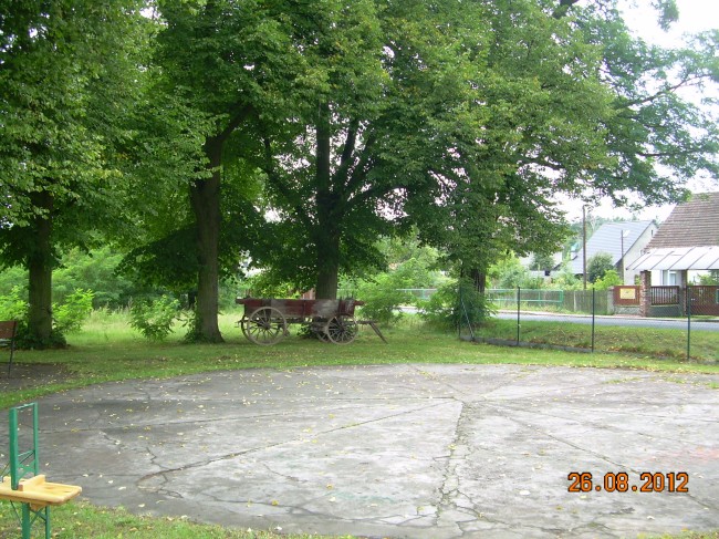 DSCN6838