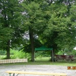 DSCN6856