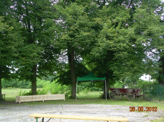 DSCN6856