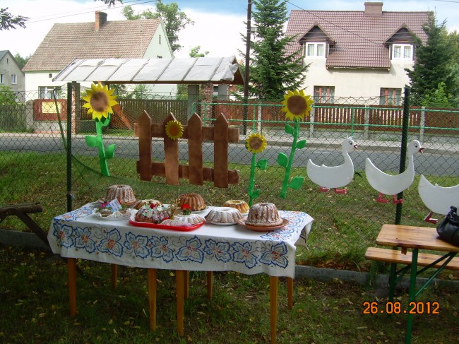 DSCN6872