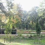 2012-10-02 09.33.21 (Kopiowanie)