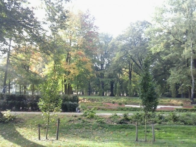 2012-10-02 09.33.21 (Kopiowanie)