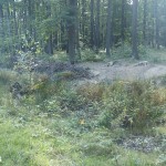Mordgrube