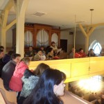 DSC00248 (Kopiowanie)