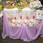 DSCN7586