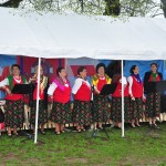 DSC_0049 (Kopiowanie)