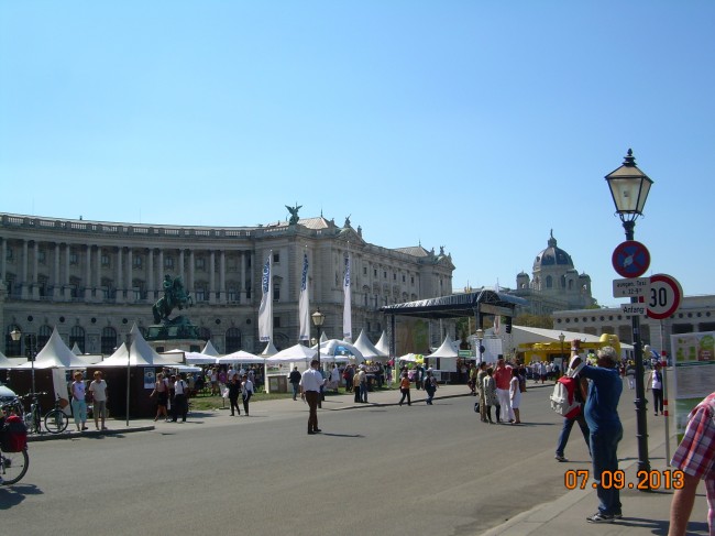 DSCN8772