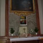 DSCN8779