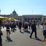 DSCN8796