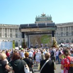 DSCN8804