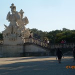 DSCN8842