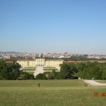 DSCN8857