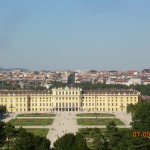 DSCN8859