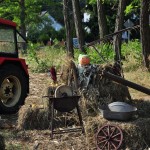 DSC_0681 (Kopiowanie)
