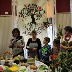 IMG_3095 (Kopiowanie)