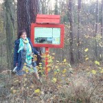 DSC_0342 (Kopiowanie)