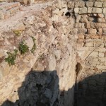 IMG_4406-23-10-17-11-36